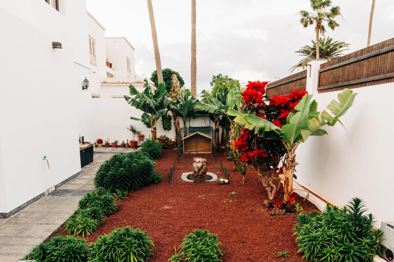 La Palmera - Fabulosa Casa, Lanzarote, Playa Honda Playa Honda  Dış mekan fotoğraf