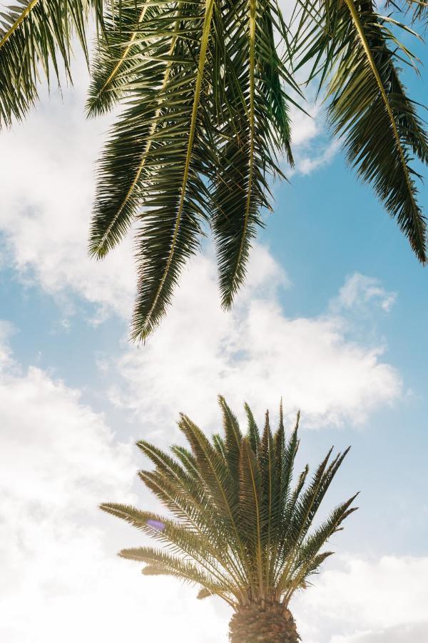 La Palmera - Fabulosa Casa, Lanzarote, Playa Honda Playa Honda  Dış mekan fotoğraf