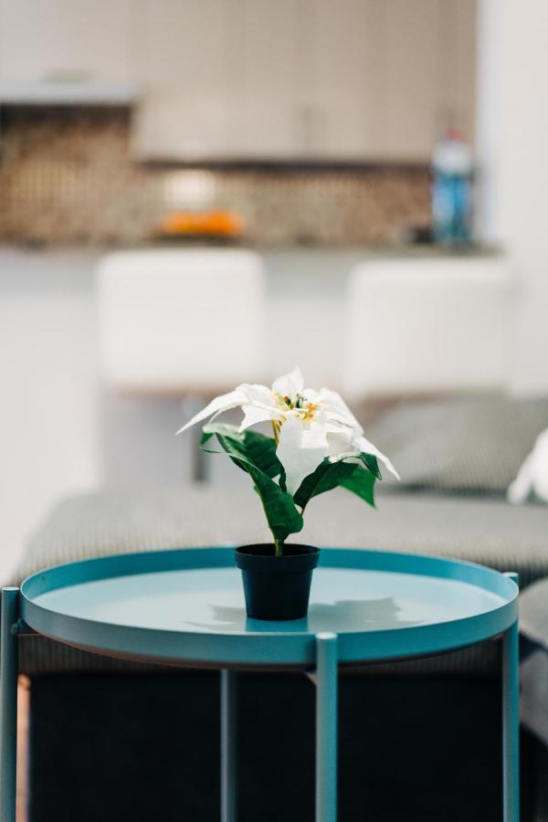 La Palmera - Fabulosa Casa, Lanzarote, Playa Honda Playa Honda  Dış mekan fotoğraf