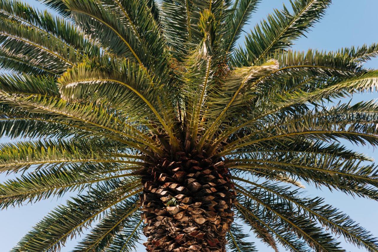 La Palmera - Fabulosa Casa, Lanzarote, Playa Honda Playa Honda  Dış mekan fotoğraf