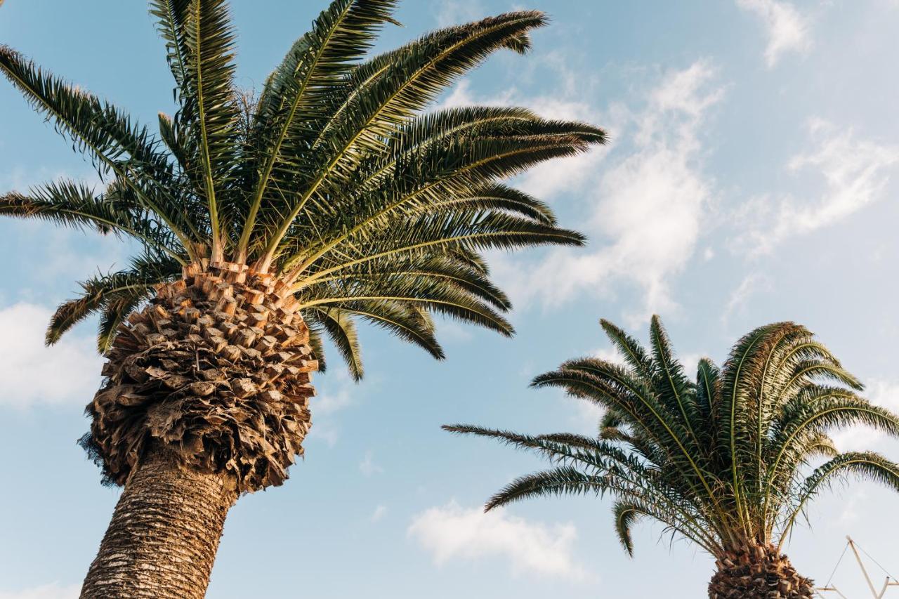 La Palmera - Fabulosa Casa, Lanzarote, Playa Honda Playa Honda  Dış mekan fotoğraf